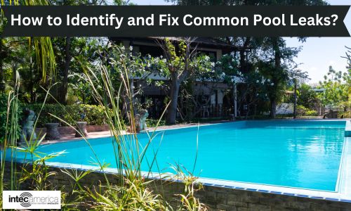How to Identify and Fix Common Pool Leaks?